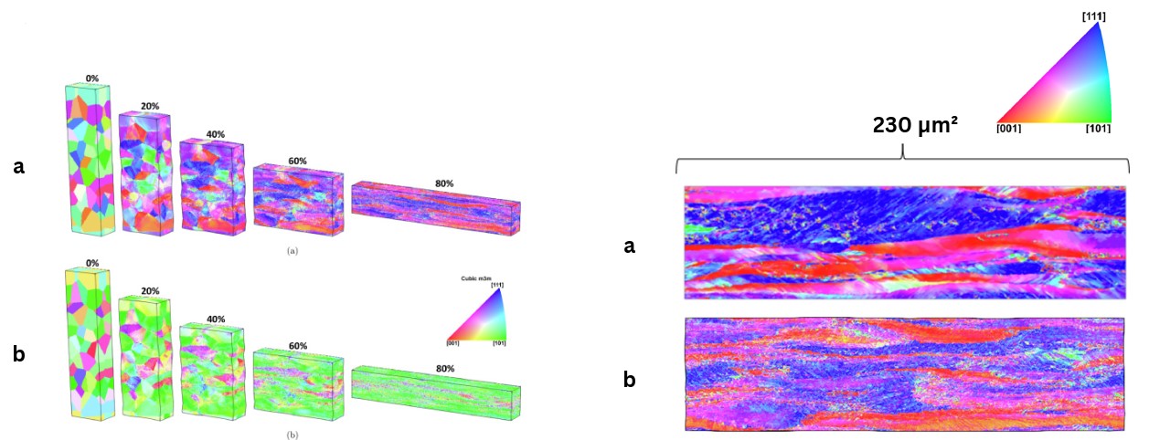 Left: IPF color maps of a 38-grain polycrystal at 0, 20, 40, 60 and 80% thickness reduction, viewed parallel to the loading direction and parallel to the stretching direction. Right: comparison after 75% thickness reduction between an EBSD image of IF-steel and a simulated polycrystal.